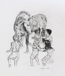 horse pencil sketch