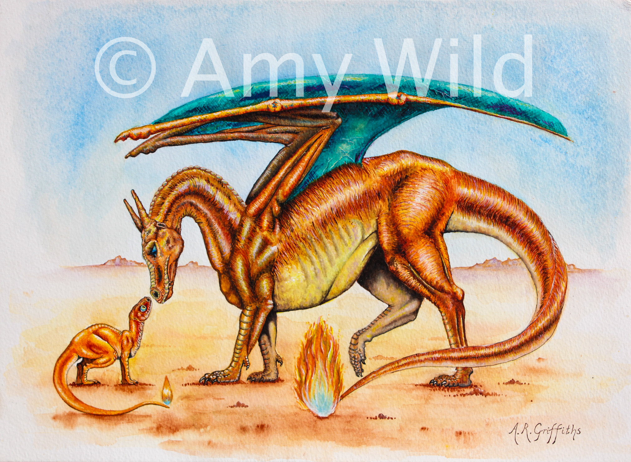 'Charmander meets Charizard'