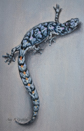 Marbled Gecko painting